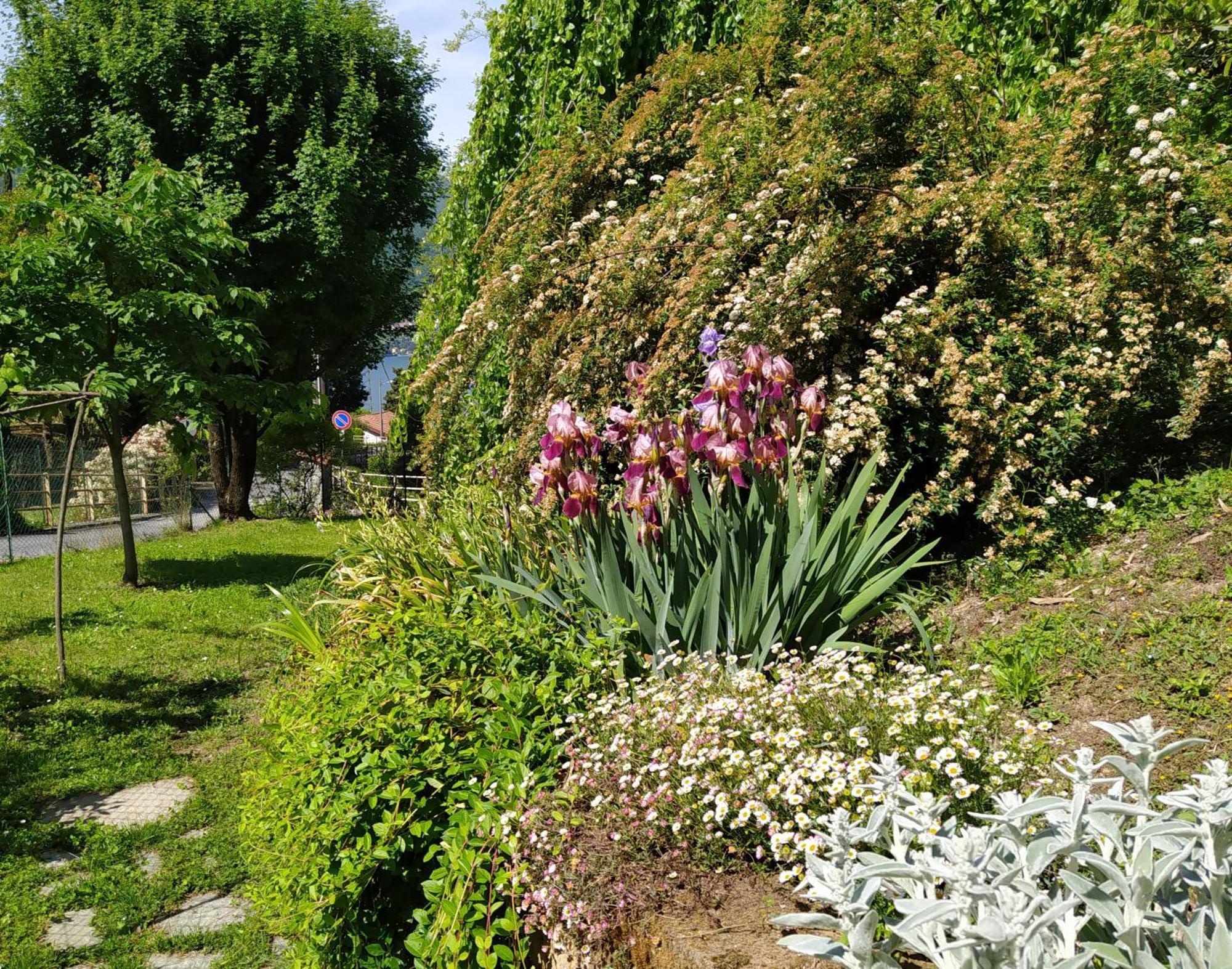 Il Bogno B&B Lierna Buitenkant foto