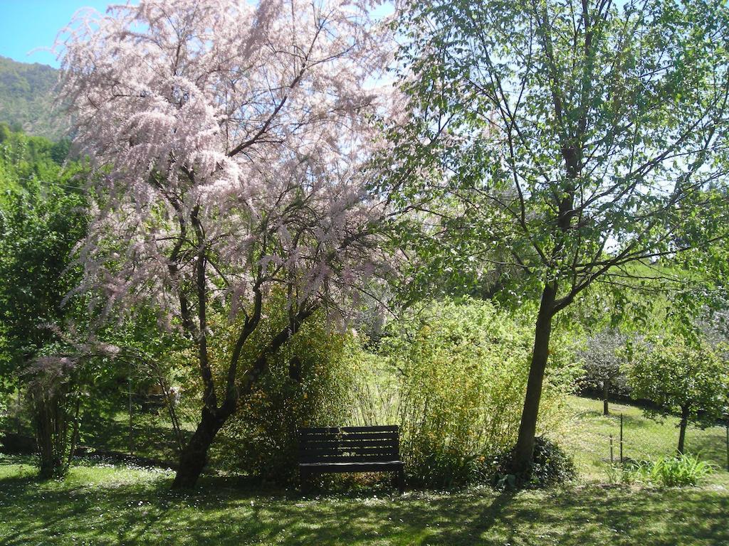 Il Bogno B&B Lierna Buitenkant foto